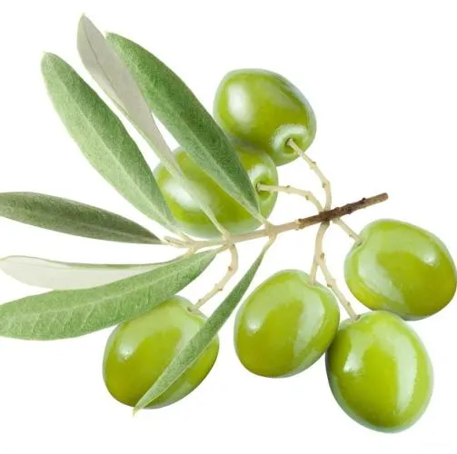 Argan Organic Carrier Oil - Virgin 3